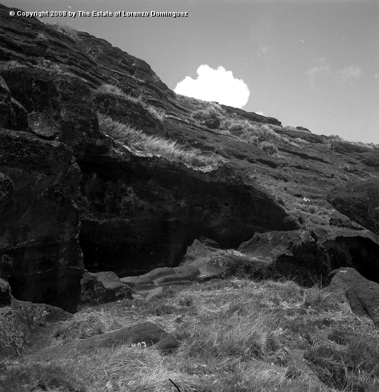 RRI_Cantera_Interior_16.jpg - Easter Island. 1960. Interior slope of Rano Raraku. Moai carved in the quarry.